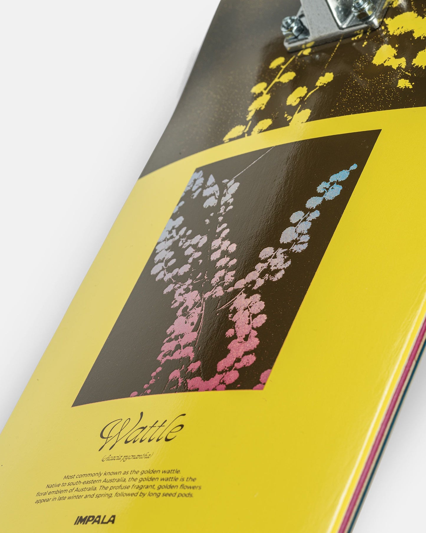 Graphic detailing of Impala Blossom Skateboard - Wattle