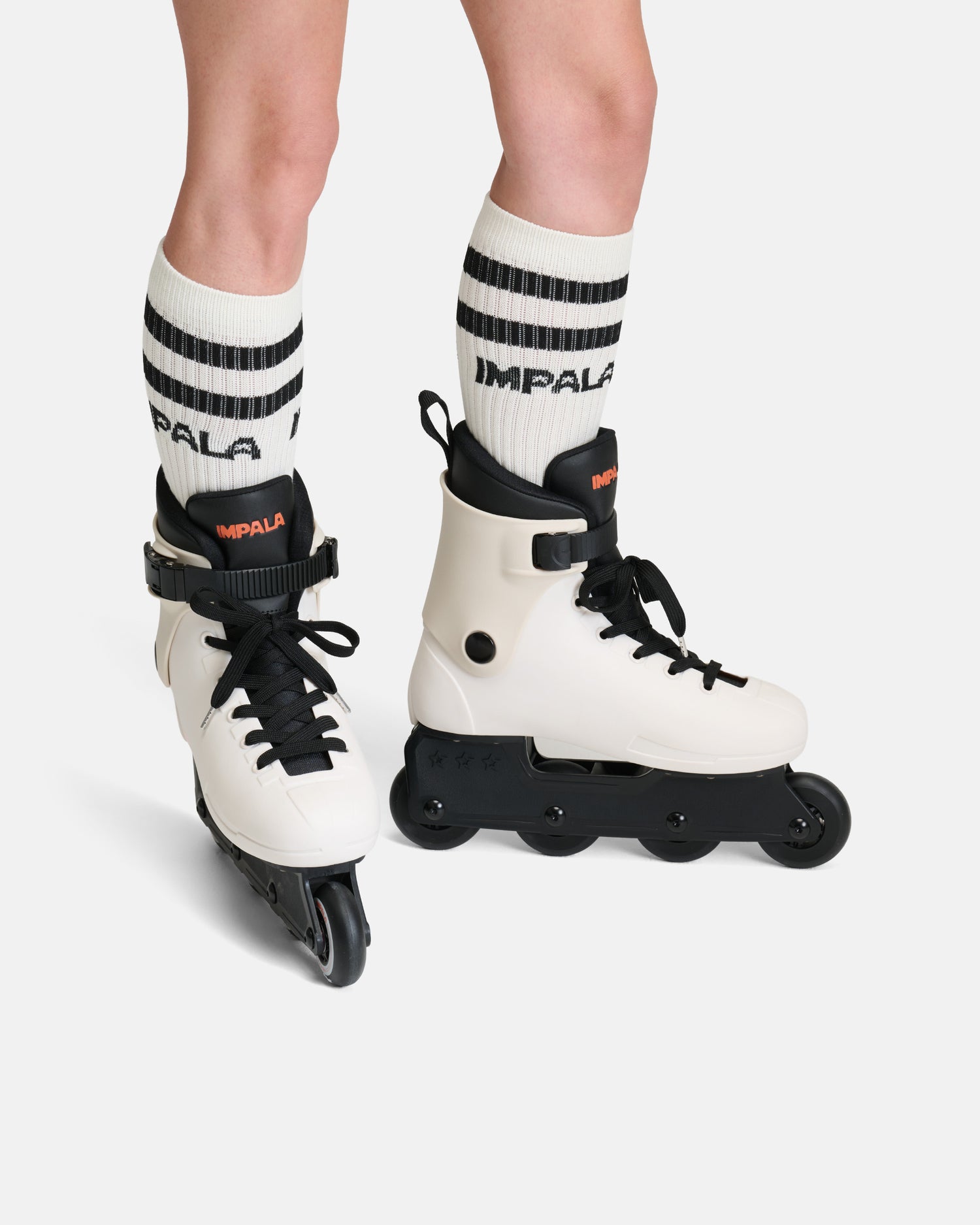 Impala High Stripe Sock 2pk - Black/Creme